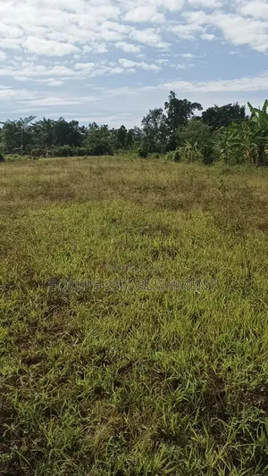 Kibanja Plot Available