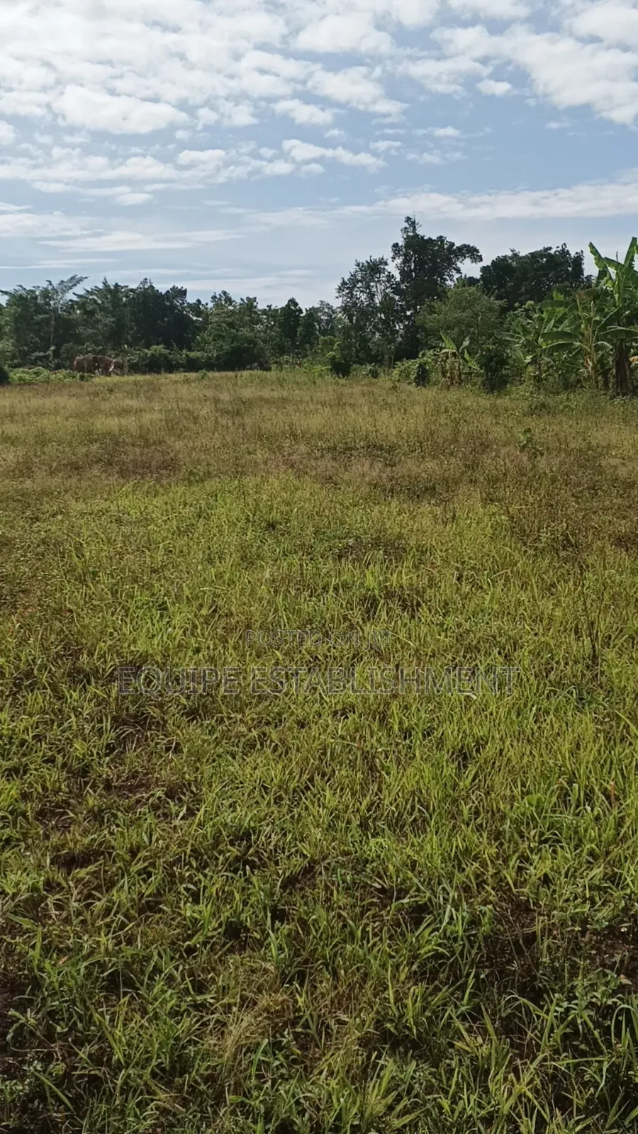 Kibanja Plot Available