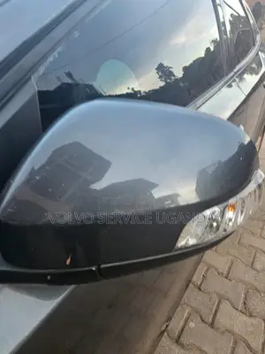 Volvo Side Mirrors
