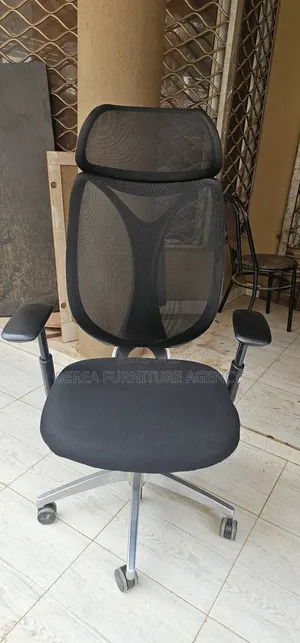 Original Egornomic Office Chair for Mesh