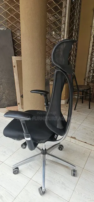 Original Egornomic Office Chair for Mesh