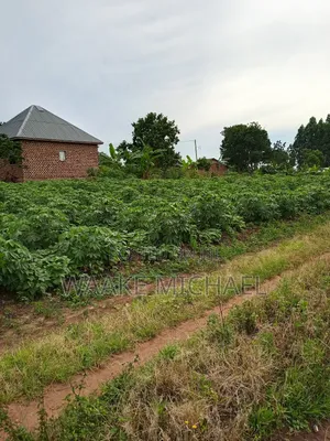 Plot for Sale