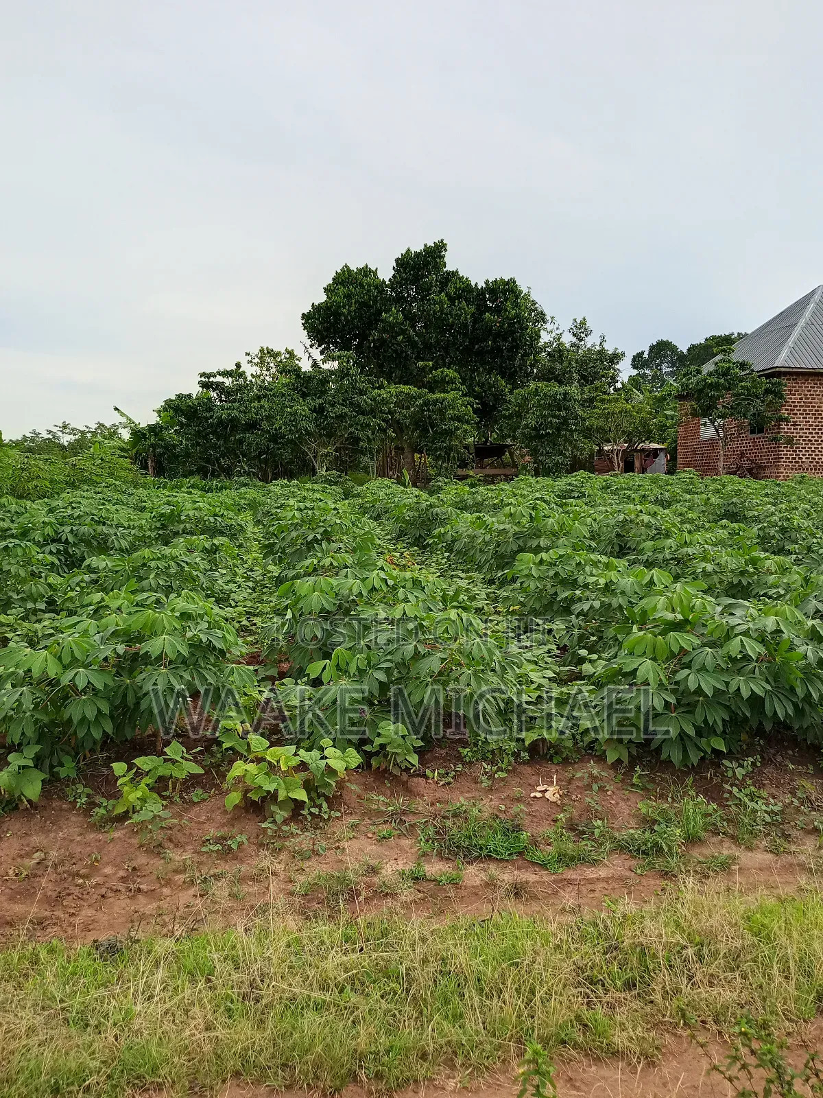 Plot for Sale