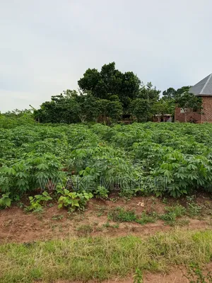 Plot for Sale