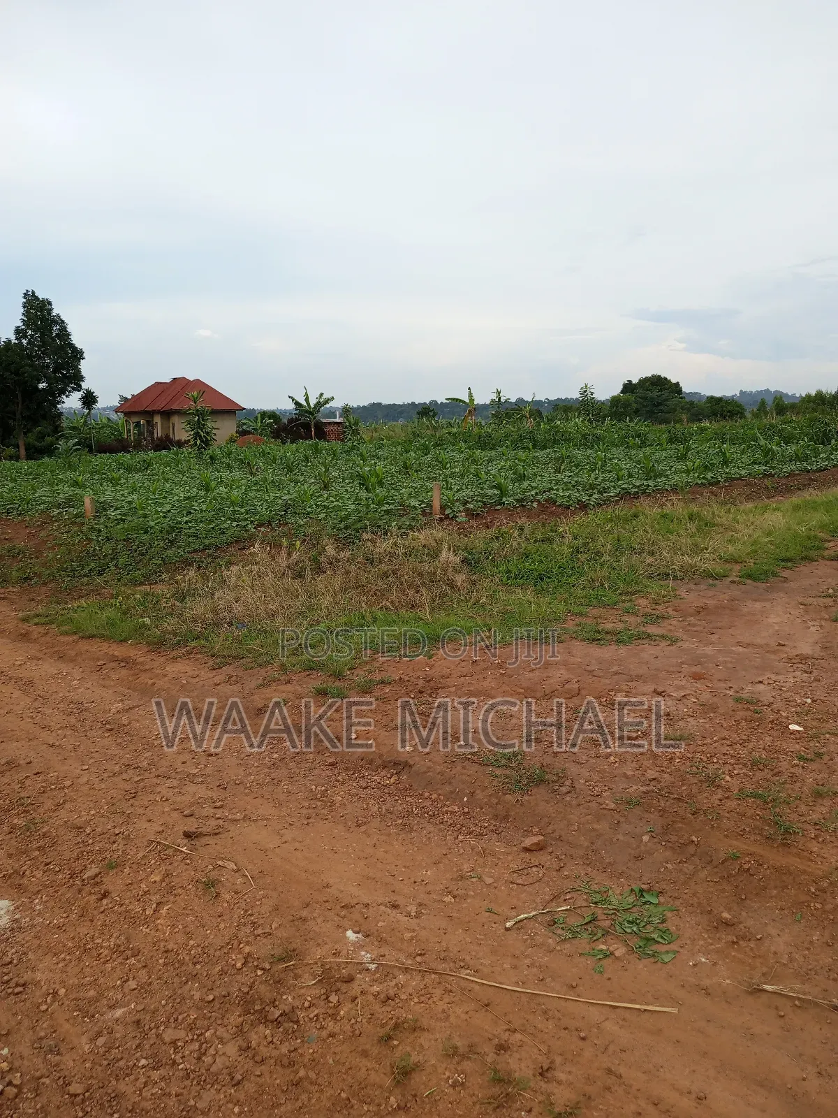 Plot for Sale