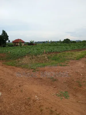 Plot for Sale
