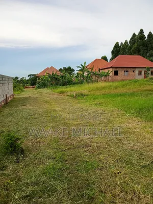 Plot for Sale