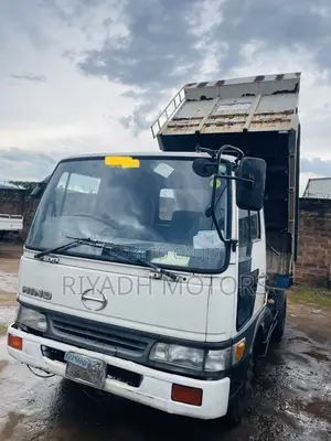 Hino White Color