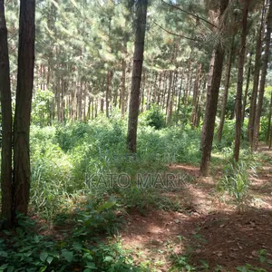 One Acre for Sale Located at Seeta Kikoza Town Mukono