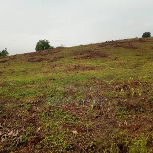 2 Acres for Sale Located at Mukono Kabembe