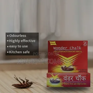 Smart Way to Kill Cockroaches