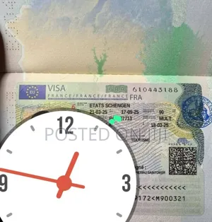 Visa Processing