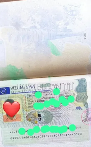 Visa Processing