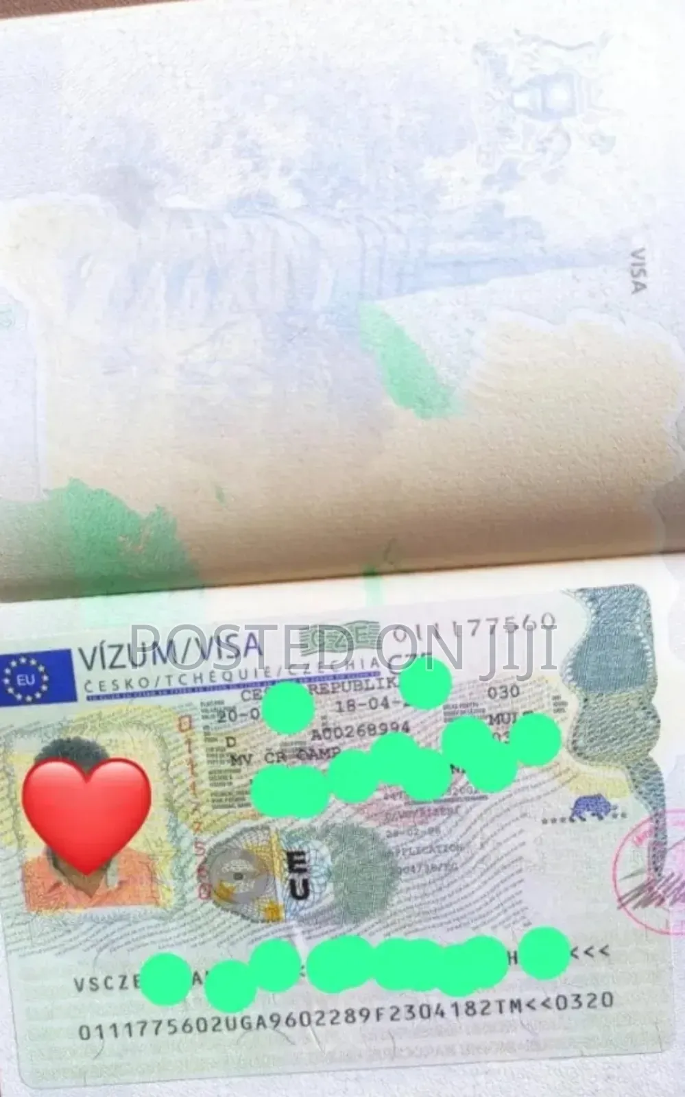 Visa Processing