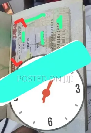 Visa Processing