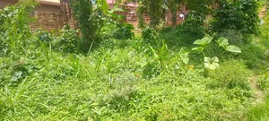 50by100 Feet for Sell