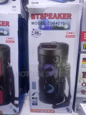 ZQS-4210 Portable Wireless Bluetooth Party Speaker