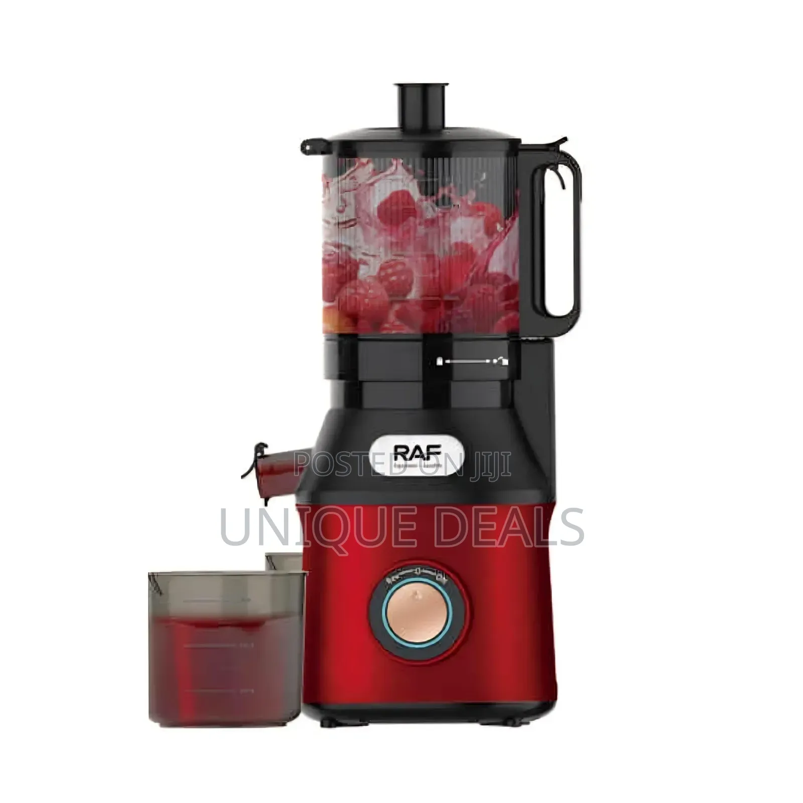 Raf Slow Juicer