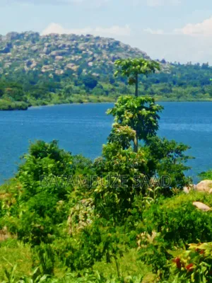 15 Acres of Farm Land on Lake Victoria Shores