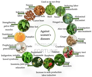 Herbal Remedy
