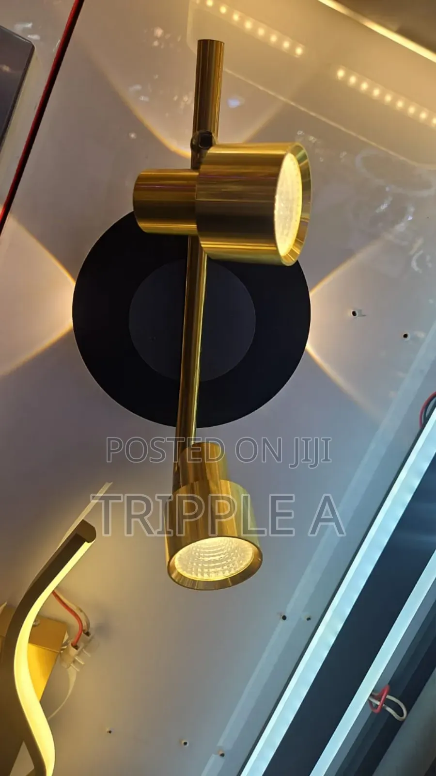 2 Light Double Sconce Light Wall Lamp