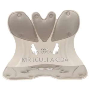 Ergonomic Support Posture Corrector for Lower Back Seat Chairs
