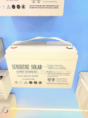 100ah Sunshine Battery