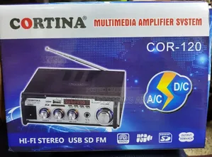 Multimedia Audio Amplifier With Bluetooth, Fm Radio, Usb, Both Ac/Dc