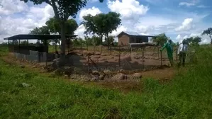 Farmland for Sale