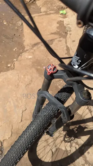 Mountain Bike/ Bicycle Kids And Adults