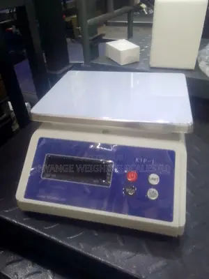 Square Digital Accurate Weighing Scale 30kg/1g White Waterproof Scale