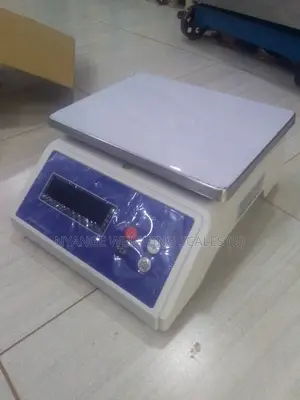 Digital Precision Weighing Scale 30kg/1g Durable Digital Weighing Scal