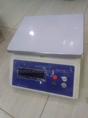 Best Price of Accurate Weighing Scale 30kg/1g Portable Weighing Scale