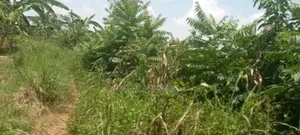 25by40 Plot for Sale