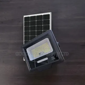 100w Interstellar Warrior Solar Flood Light