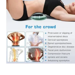 Electric Lumbar Massager