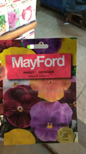 Pansy / Dream Giants Mixed Flower Seeds