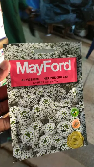 Carpet of Snow Flower Seeds