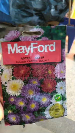 Colour Carpet Double Mix Flower Seeds