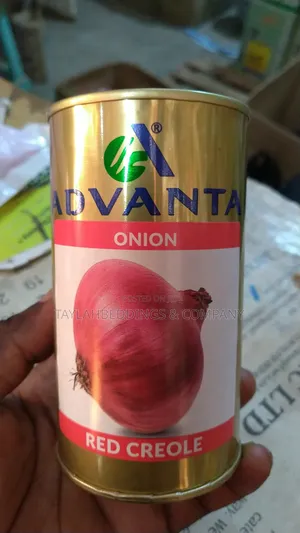 Red Creole Onion Seeds 50g