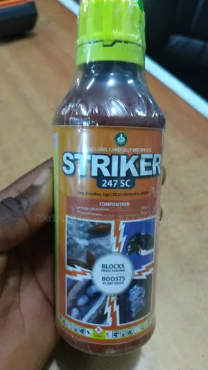 Striker Anti-Killer Insect Killer for House Foundation