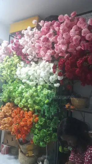 Let's Your Kids Birthday Be Colourful at Low Cost