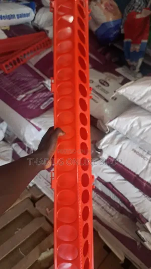 Long and Big Chicken Plastic Feeder .
