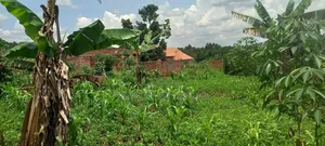 Titled Plot for Sale 50x100ft