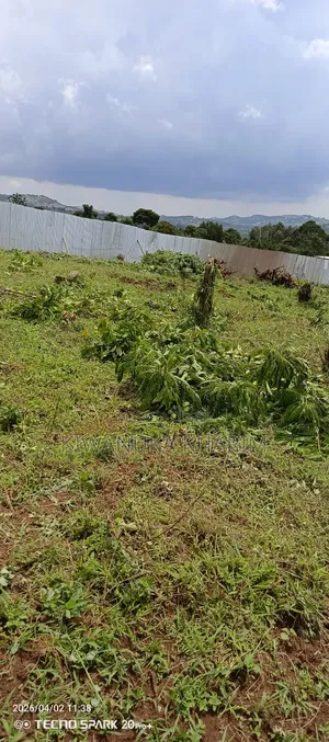 Plot for Sale Located Mpigi Masaka Road 2 Klomite to Mpigi Town