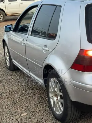 Volkswagen Golf 2004 Silver