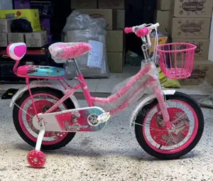 Carrier Kids Bicycle Pink