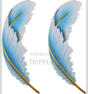 2pcs Feather Wall Sconce Modern Led Wall Light