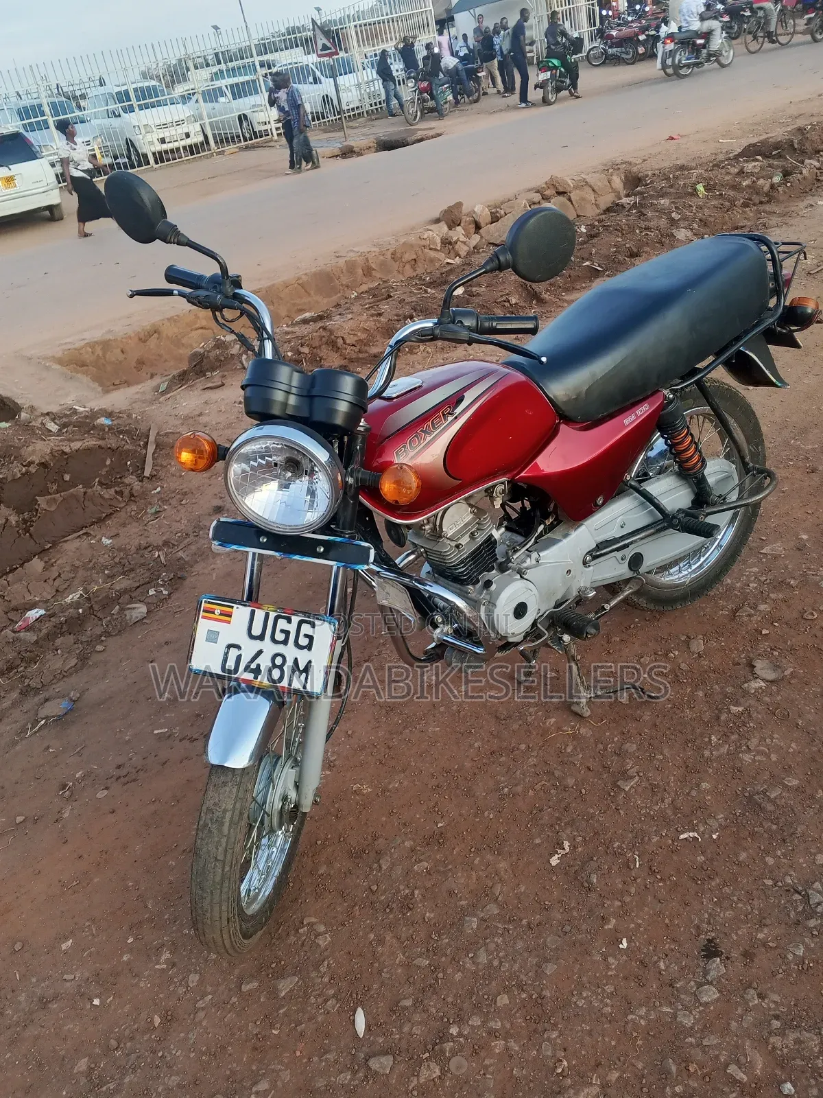 Bajaj Boxer 100 2024 Red