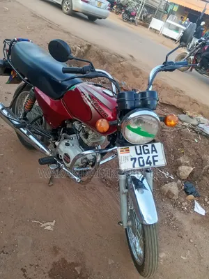 Bajaj Boxer 100 2024 Red